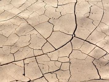 Dnes je den boje proti suchu a rozšiřování pouští 